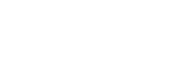 logo bianco cybe cyber sicurezza modena